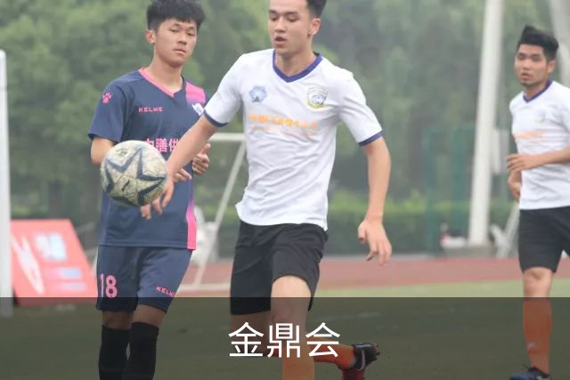 关于金鼎会
